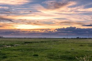 landscape-1