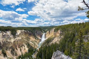 landscape-11