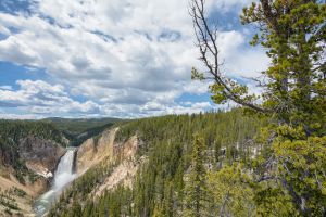 landscape-12