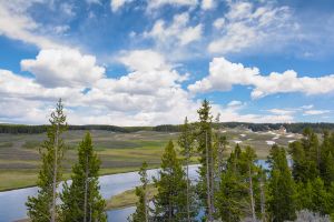 landscape-13