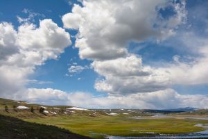 landscape-14