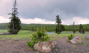 landscape-15