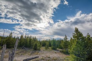landscape-16