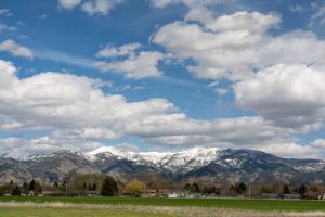 landscape-19