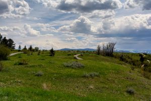 landscape-2