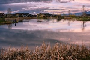 landscape-23