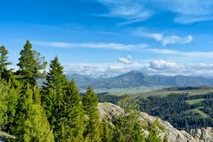landscape-3