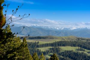 landscape-4