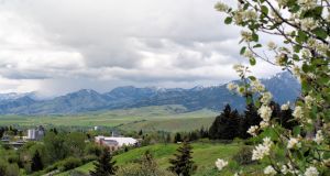 landscape-5