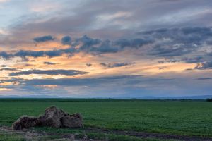 landscape-6