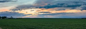 landscape-7