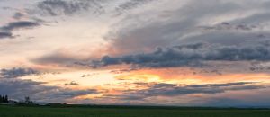 landscape-8