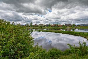 landscape-9